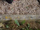 image of grave number 911181